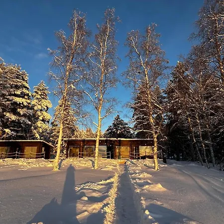 Terwaluoto Willa Oulu