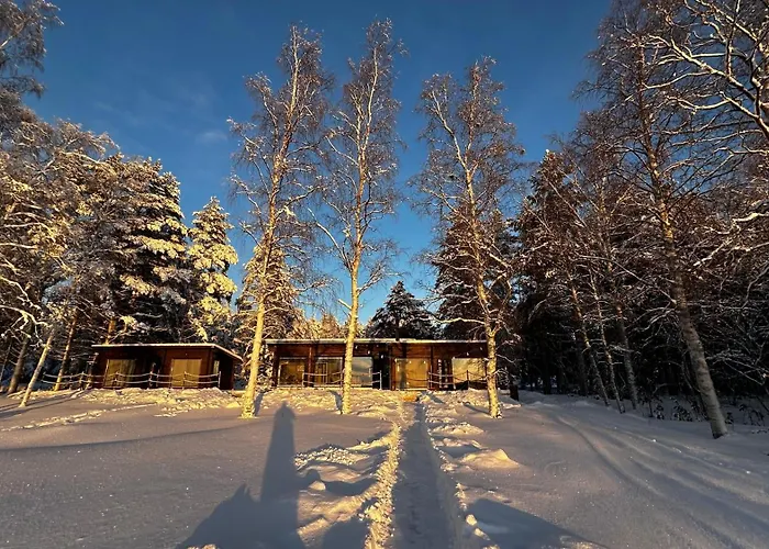 Terwaluoto 别墅 奥卢